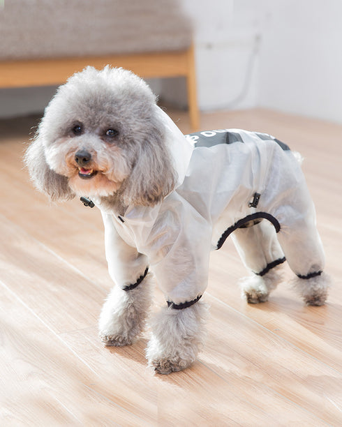 SemiTransparent Raincoat